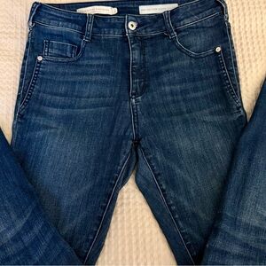 Pilcro and the Letterpress by Anthropologie jeans